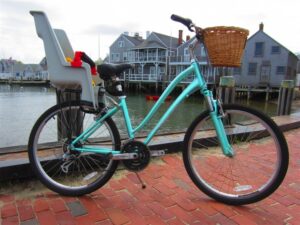 Rhode Gear Child Seat W/ Adult Bike