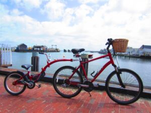 Tag-a-Long W/ Adult Bike