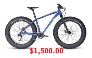 2017 Specialized Fatboy SE (Beach Bike)