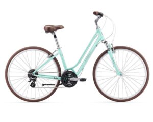 2017 Giant Flourish FS Womens